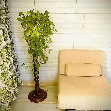 Apartamento Katrin House *