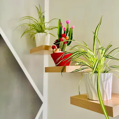 Apartmán Katrin House Verona