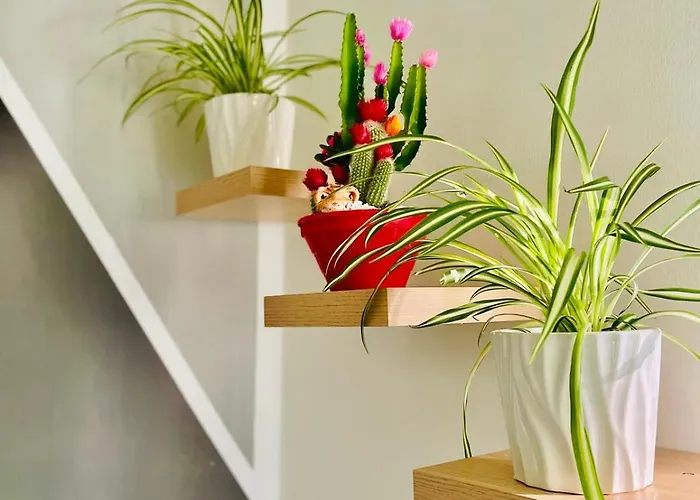 Apartamento Katrin House Verona